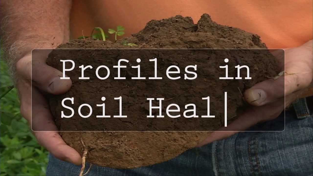 Farmer Panel on Experiences with Cover Crops and Soil Health - DeSutter, Hill and Emmons