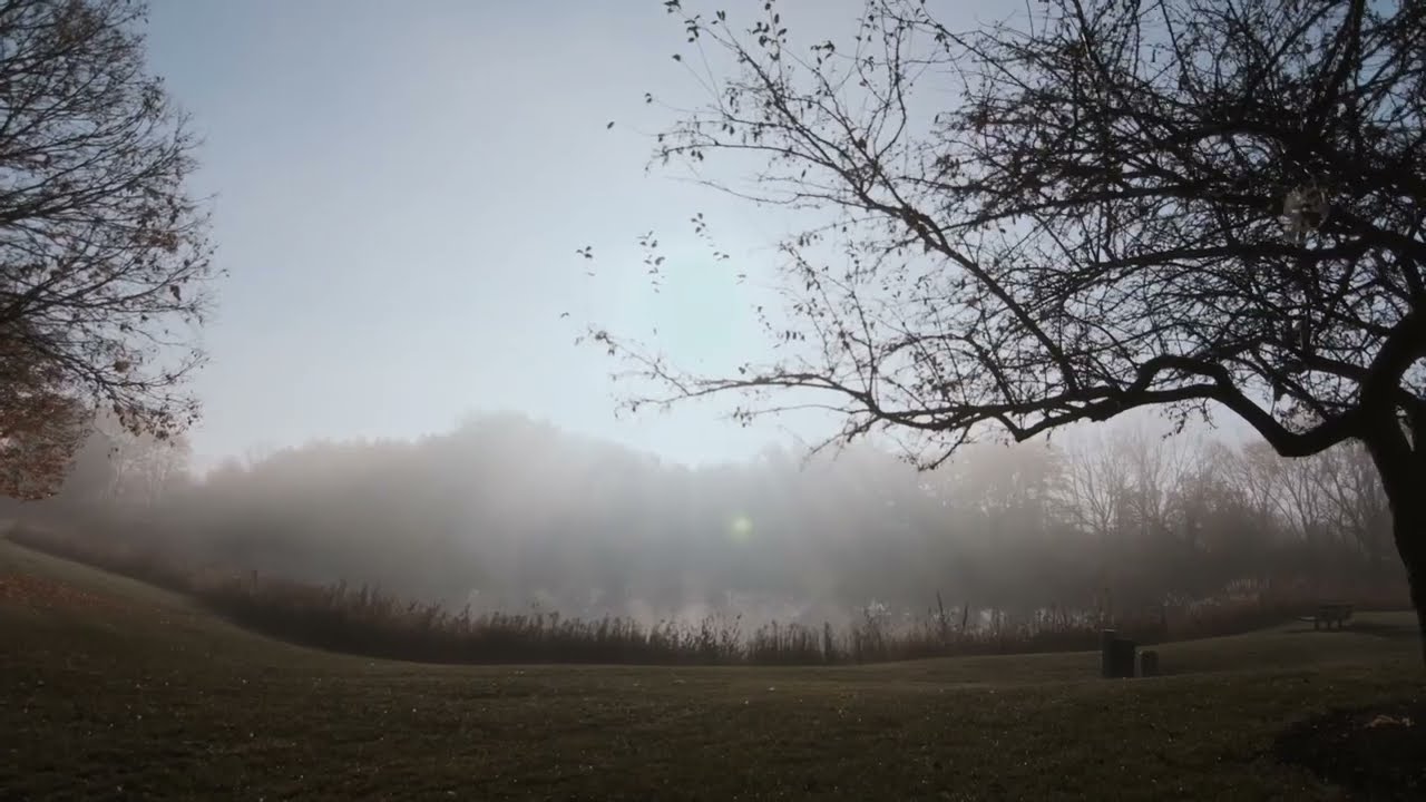 Adapting to climate change in Serbia: the living soil EN