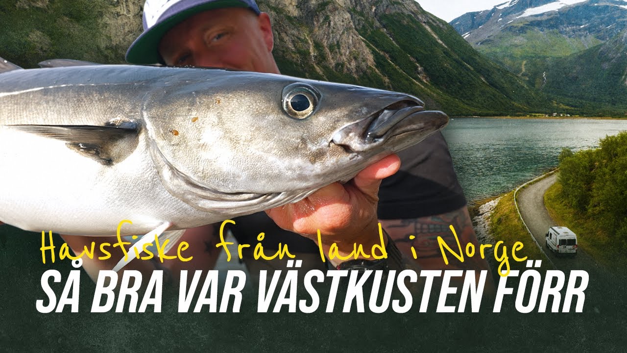 Havsfiske från land i Norge | Lever i husbil