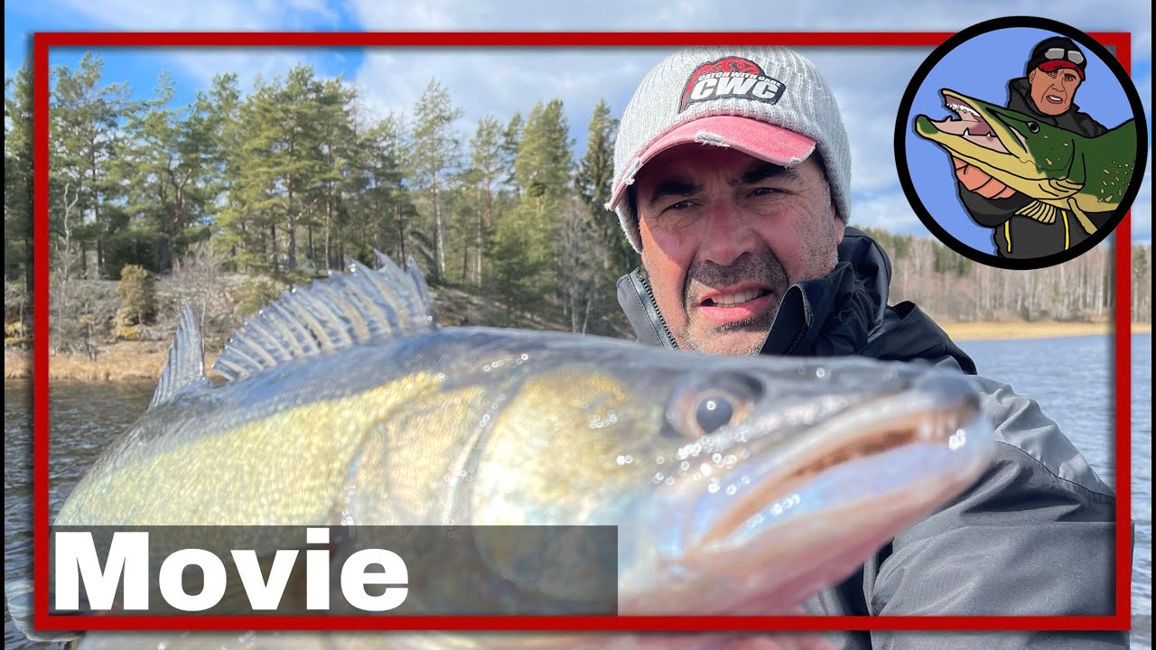 🎣 VISSEN OP SNOEKBAARS, BAARS EN SNOEK IN ZWEDEN 🎥 snoekbaars | baars | snoek | roofvis | Zweden #70