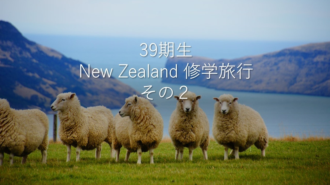 【多摩聖】ニュージーランド修学旅行その２