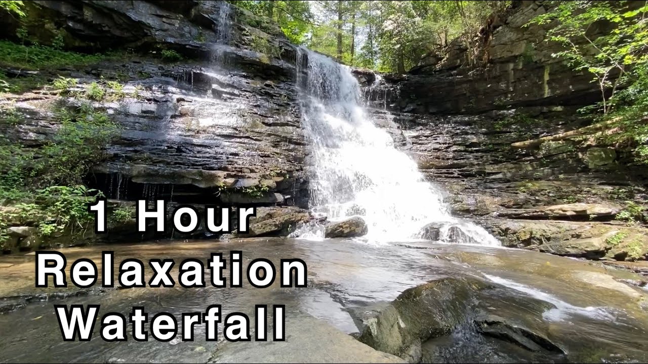 Board Tree Falls (1 hour relaxation) #tnaroundme