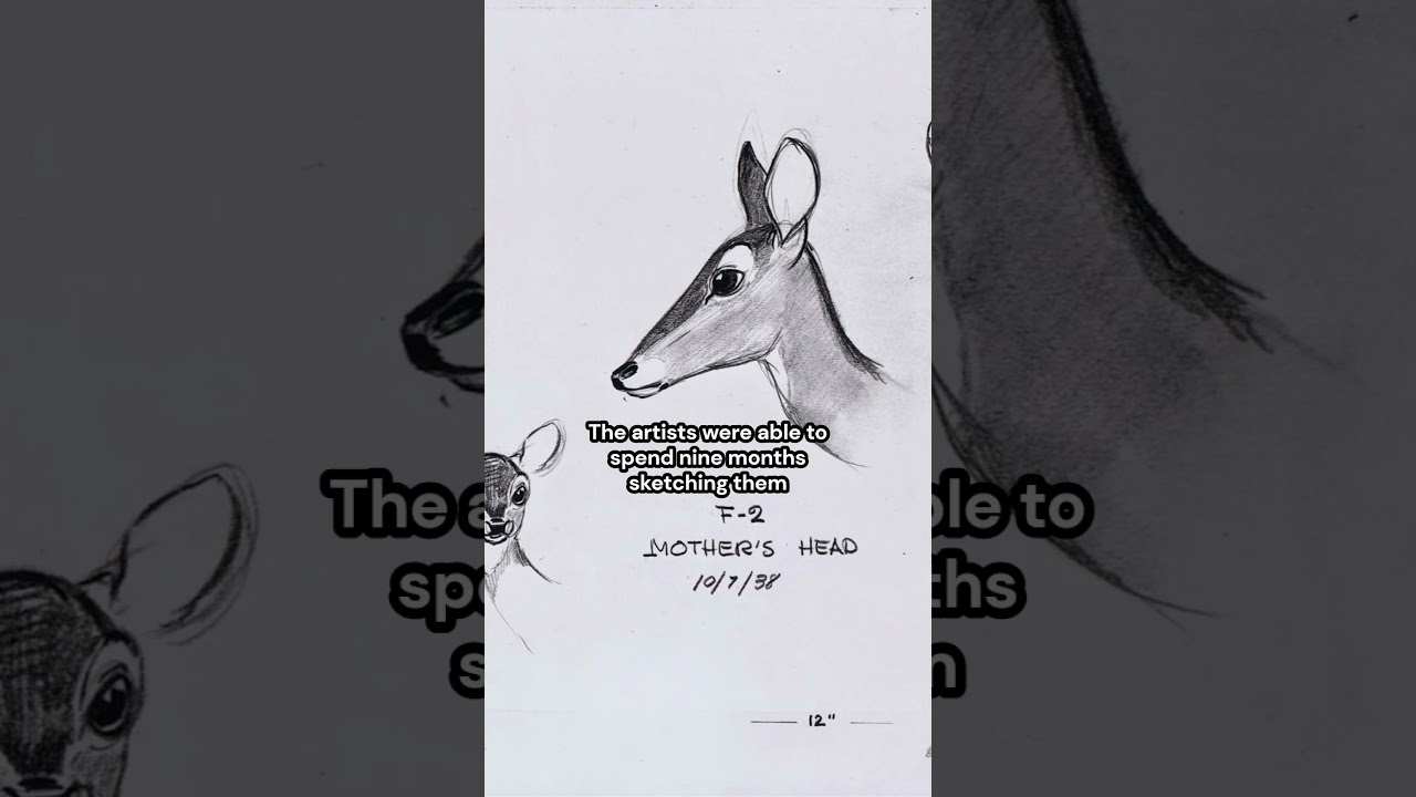 Yummy Sketchpads | Disney Artists Studying Deer for the production of Bambi (1942) #art #artwork
