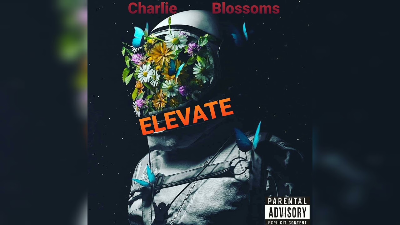 Charlie Blossoms - ELEVATE (OFFICIAL AUDIO)