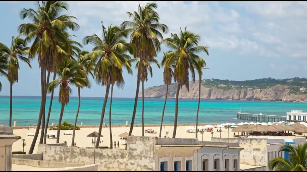 Latin Nights LIVE | Traditional Son Cubano & Classic Salsa Vibes