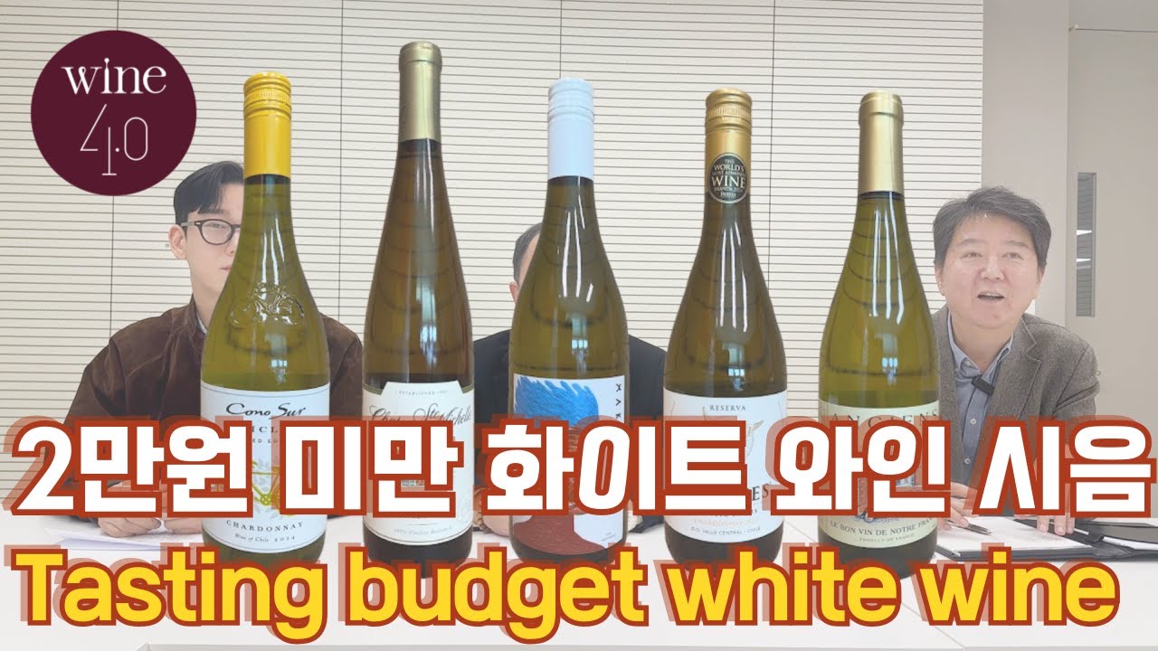 [편의점 화이트] 2만원 미만 편의점 화이트 와인 5종 추천 시음.  코노 수르 자전거, 샤토 생 미셸 리슬링, 마키키, 몬테스, 앙시앙 땅.
