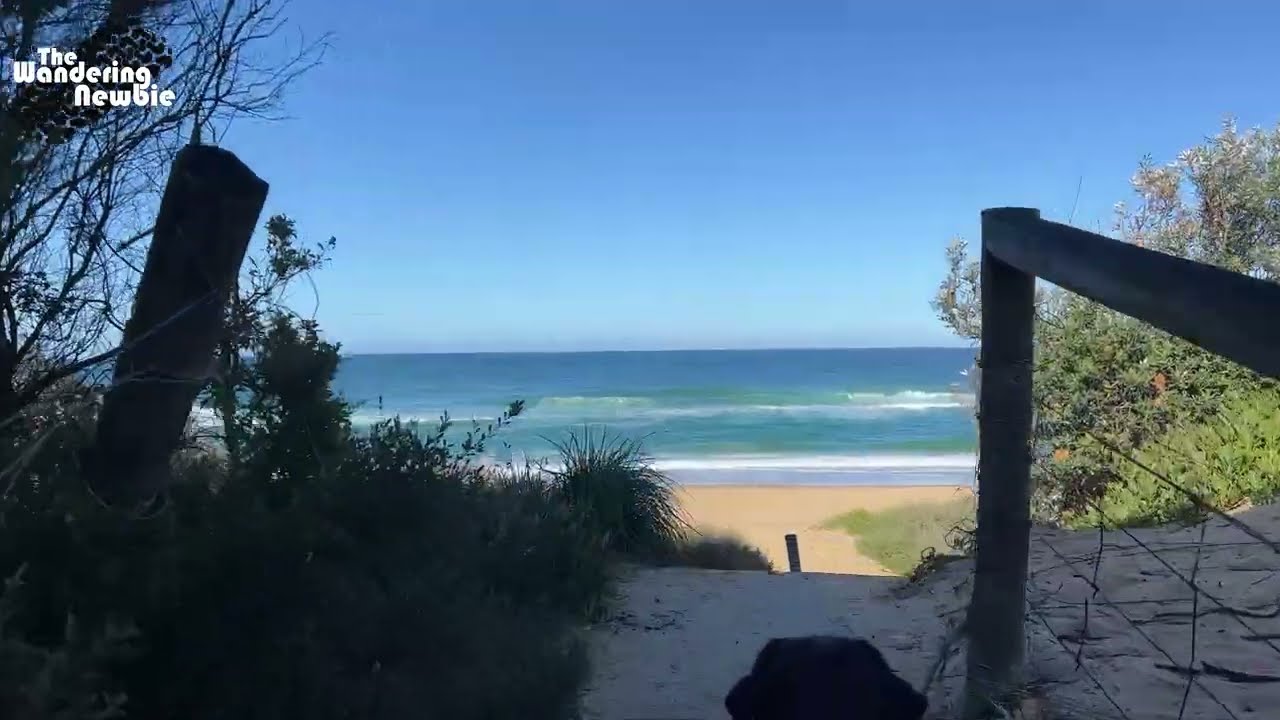 Pettmans Beach Campground - Ewing Morass Wildlife Reserve - Lake Tyers SP - Victoria