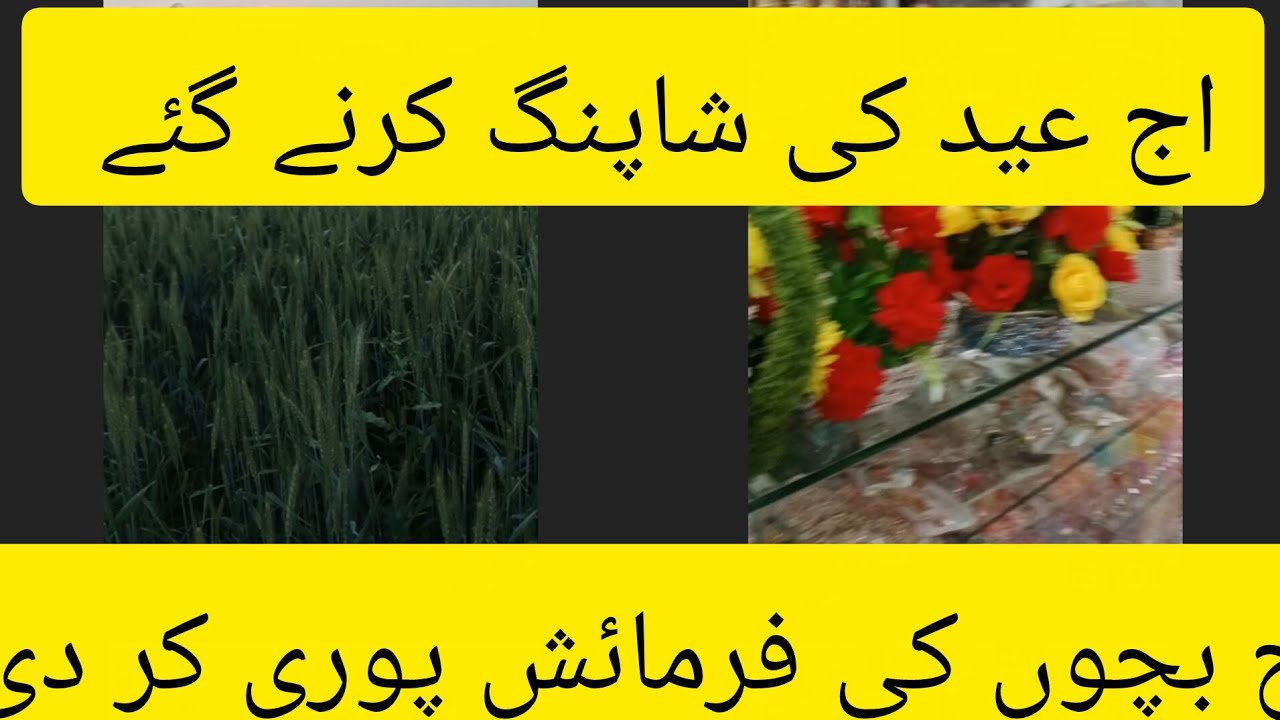 اج عید کی شاپنگ کرنے گئے اور بچوں کی فرمائش پوری کی 