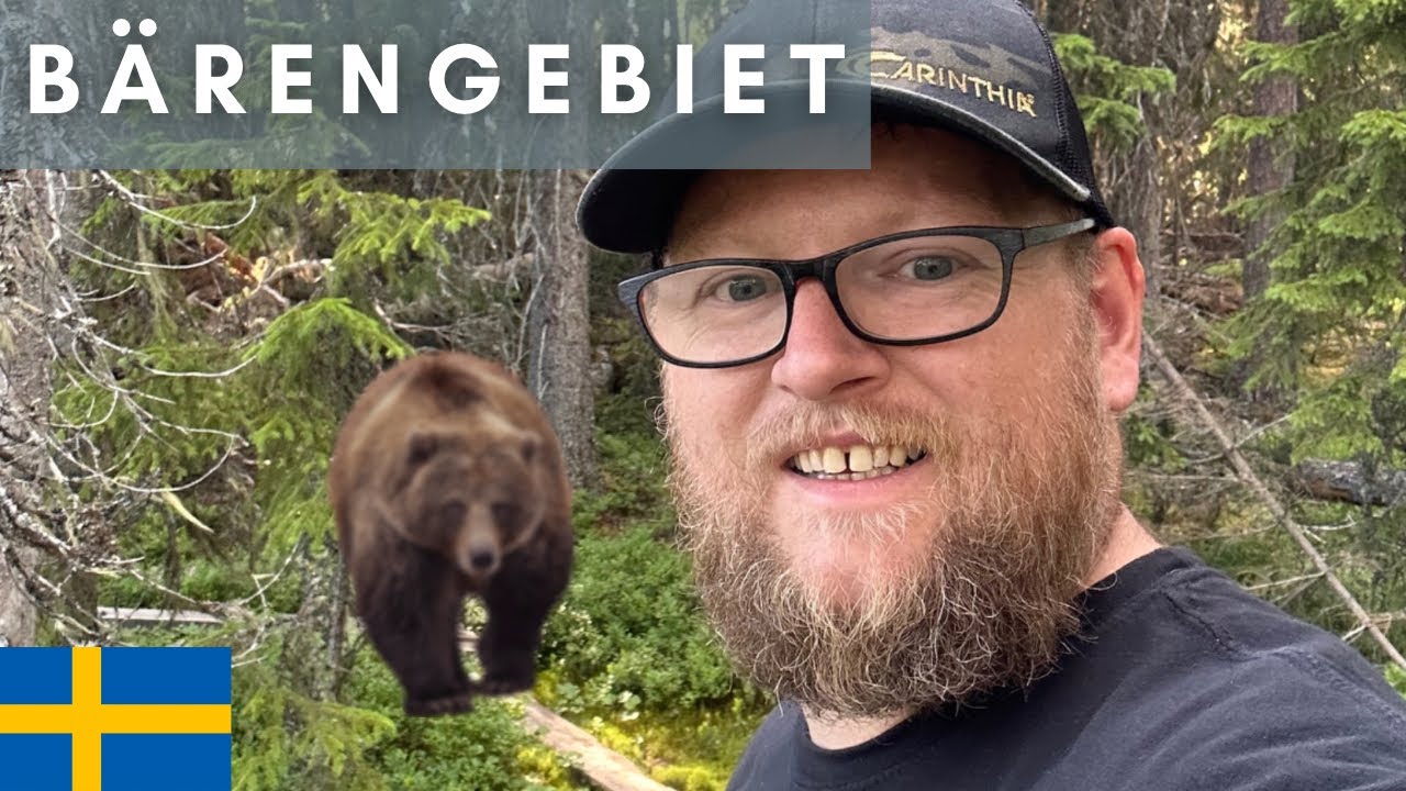 Wahrscheinlich werde ich von Bären beobachtet - Wanderung im Hamra Nationalpark Schweden