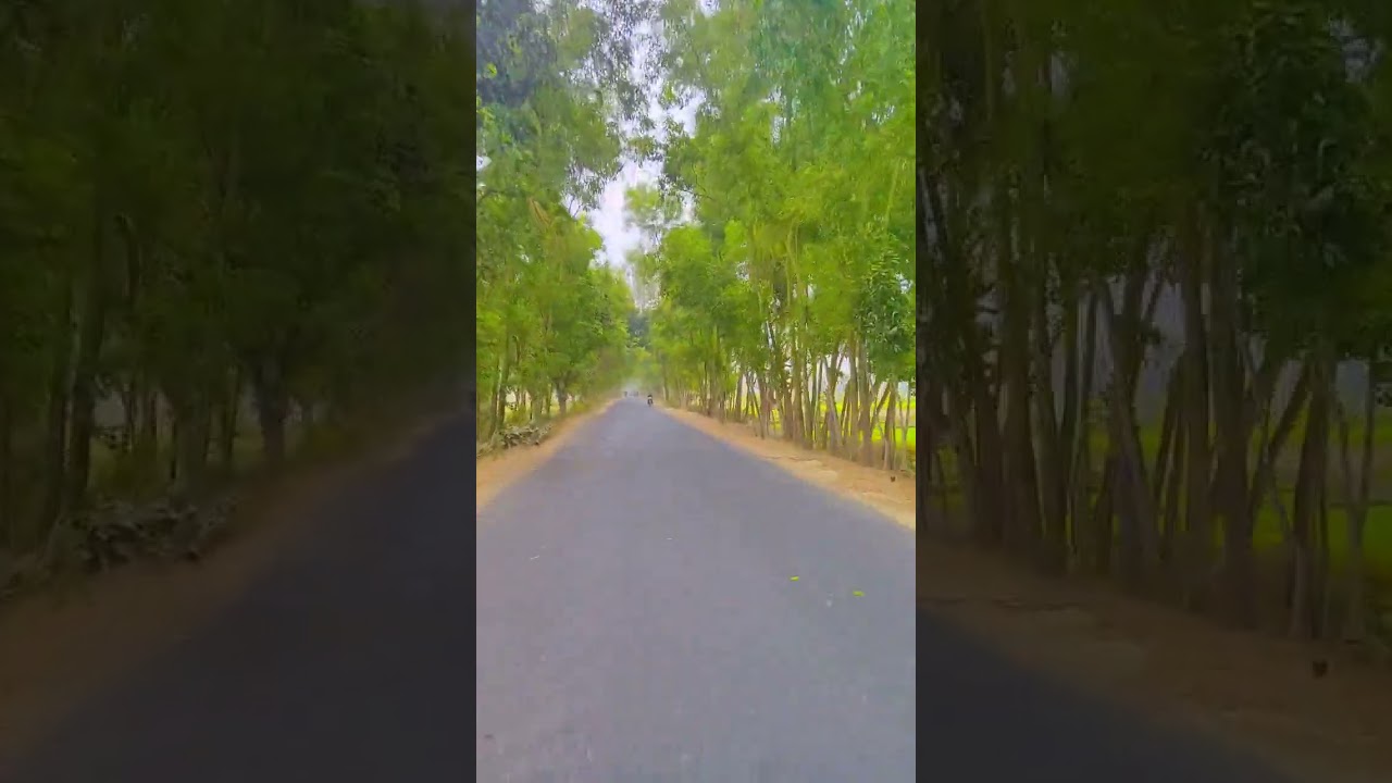 nazipur to dhamurhat