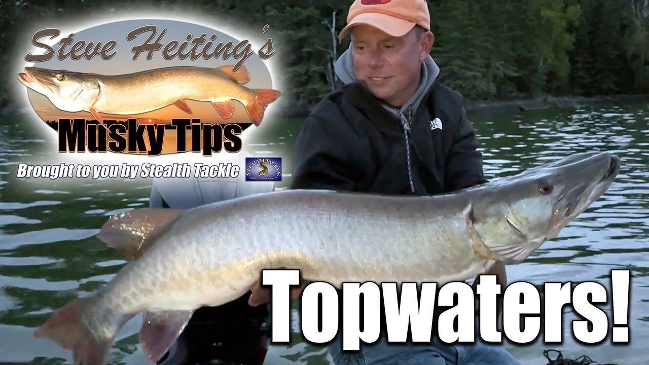 Topwaters!