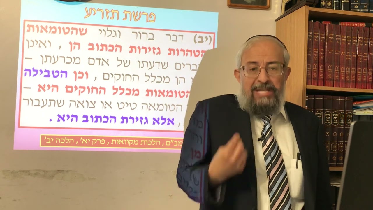 פרשת תזריע - סוד עניין ה