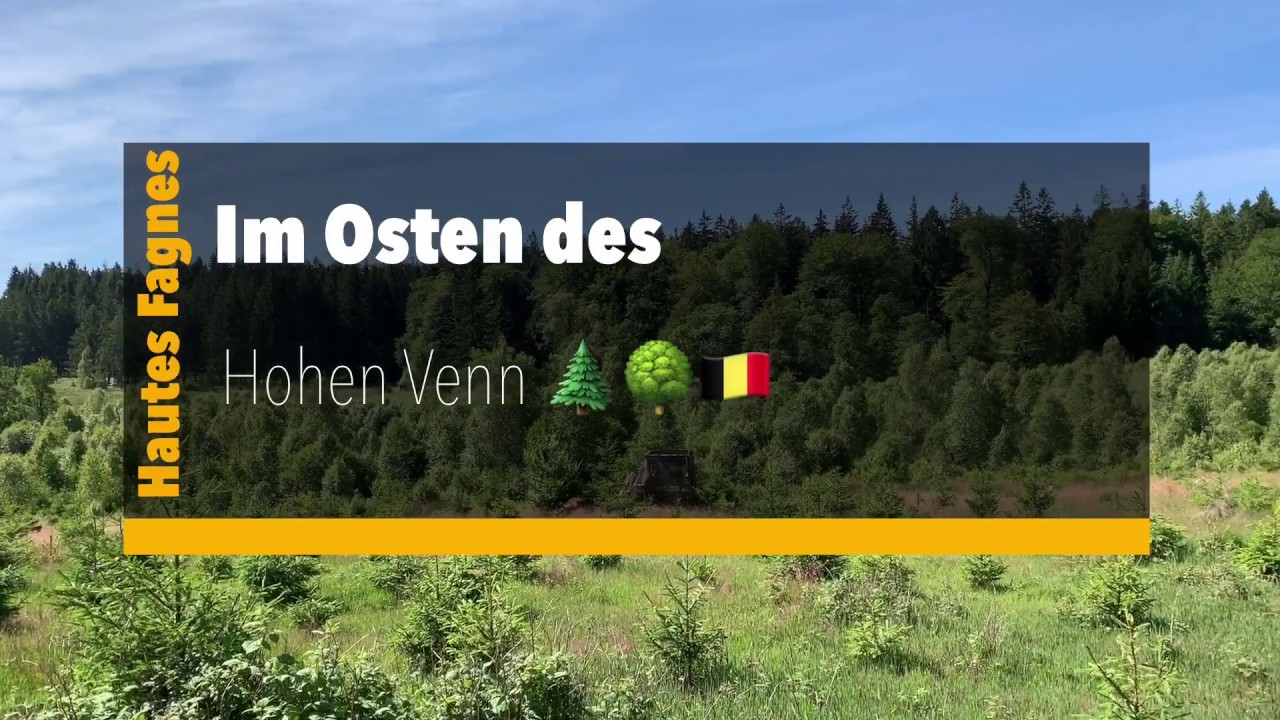 Im Osten des Hohen Venn 🌲🌳🇧🇪