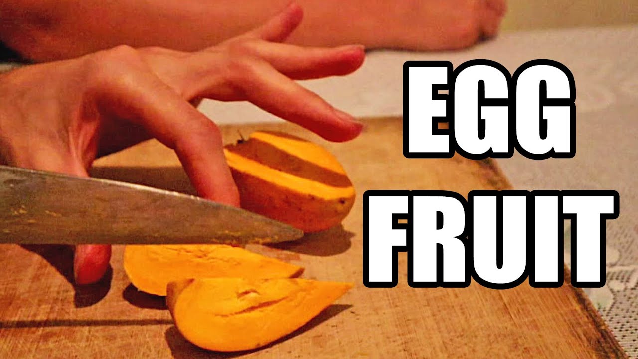 CANISTEL (Eggfruit) : The Fruit That Tastes Like EGGS! - Weird Fruit Explorer in The Seychelles