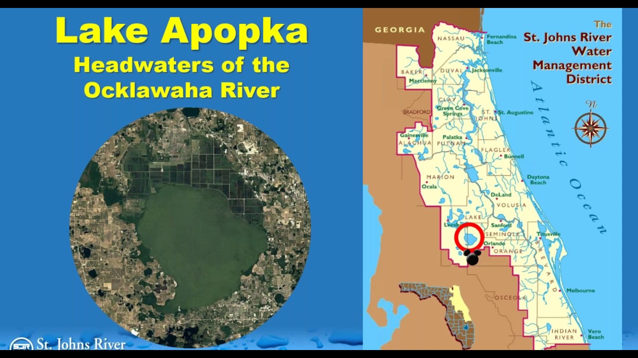 August 2019 Webinar - Restoration of Lake Apopka (Florida) and Surrounding Wetlands