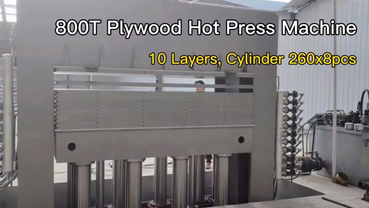 800Ton 10 Layers plywood hot press machine with cylinders 260mm x 8pcs