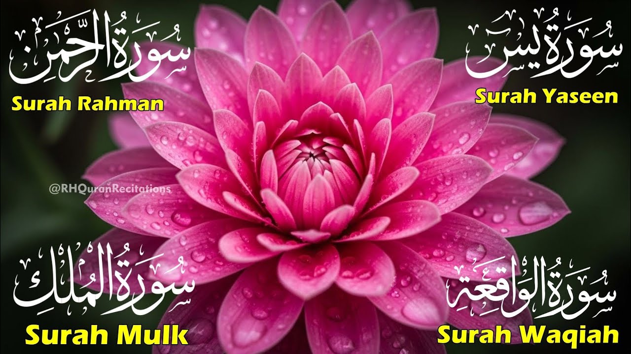 Beautiful Surah Yaseen (Yasin) |Surah Rahman | Surah Waqiah |Surah Mulk | Episode 64
