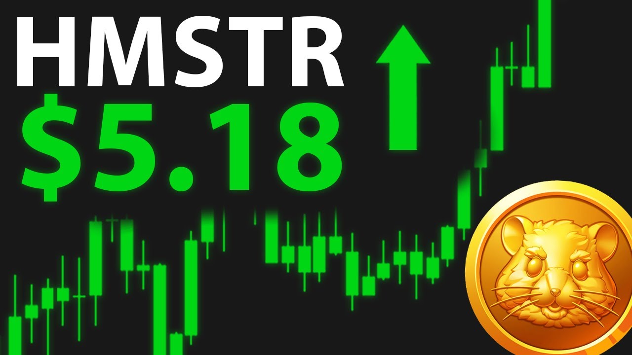 WILL HAMSTER KOMBAT PUMP? (Hamster Kombat Price Prediction)