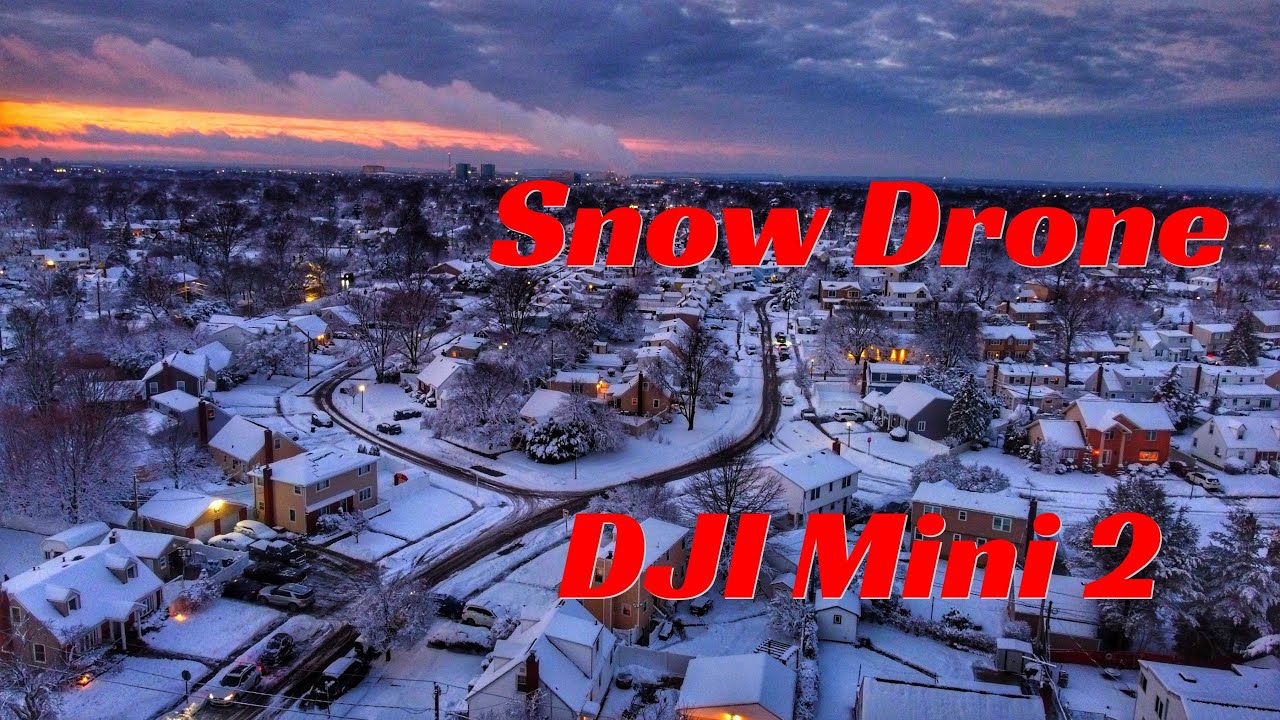 DJI Mini 2 - Snow Drone