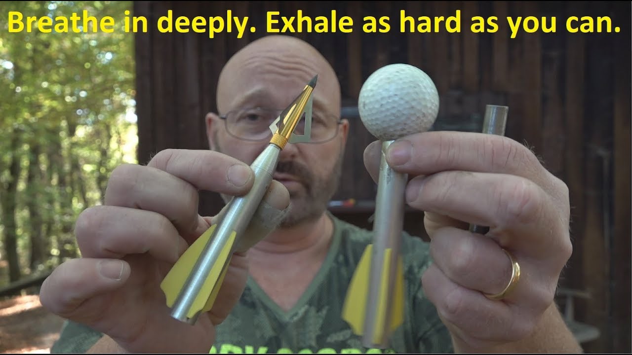 News from the Lung Trainer!