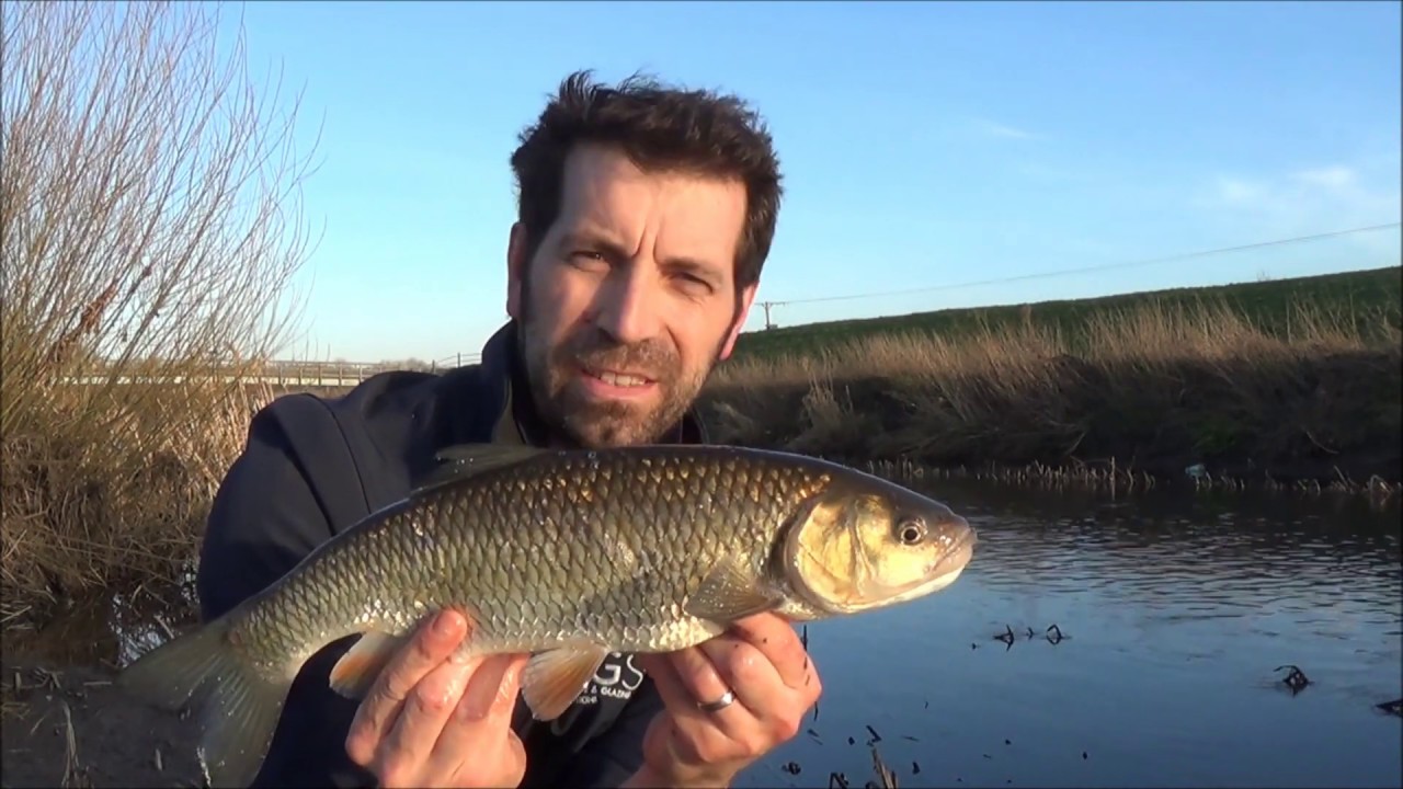 Chub fishing,  mild winter spell Feb 2019