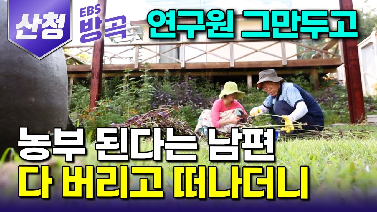 [경남 산청] 