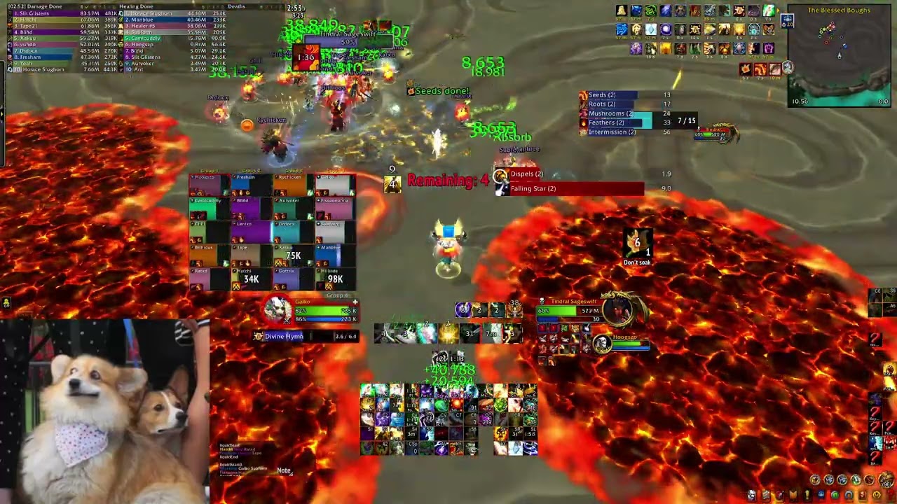 Casual Success vs Mythic Tindral Holy Priest PoV