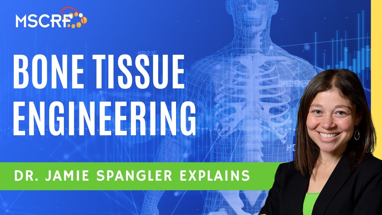Biomedical Engineering to Regenerate Bone | Dr Jamie Spangler - Maryland Stem Cell Research Fund