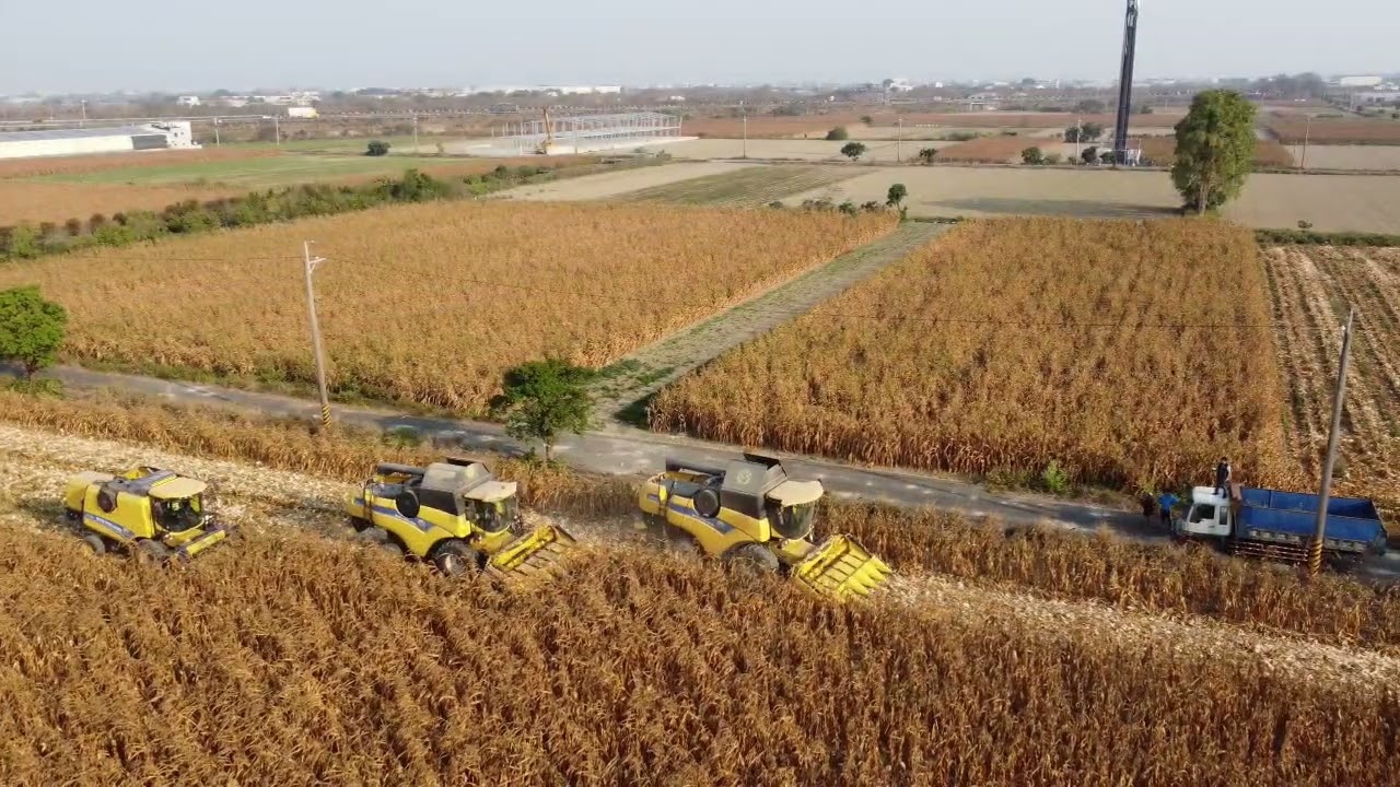 NEW HOLLAND 全董大黃蜂團隊