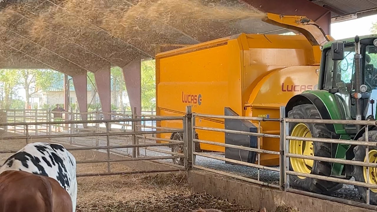 Köp Halmströare/halmrivare Lucas Square 278 på Klaravik