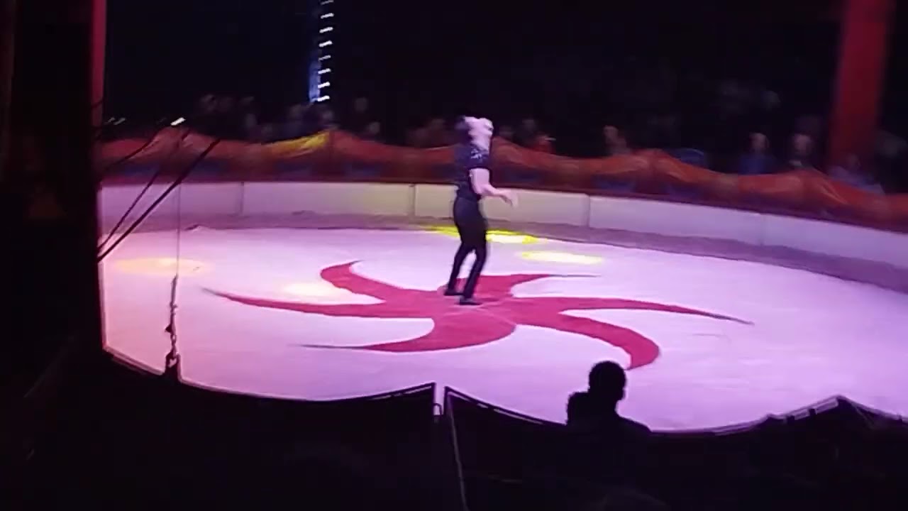 Le jongleur  brésilien du cirque Nicolas Zavatta 2025 