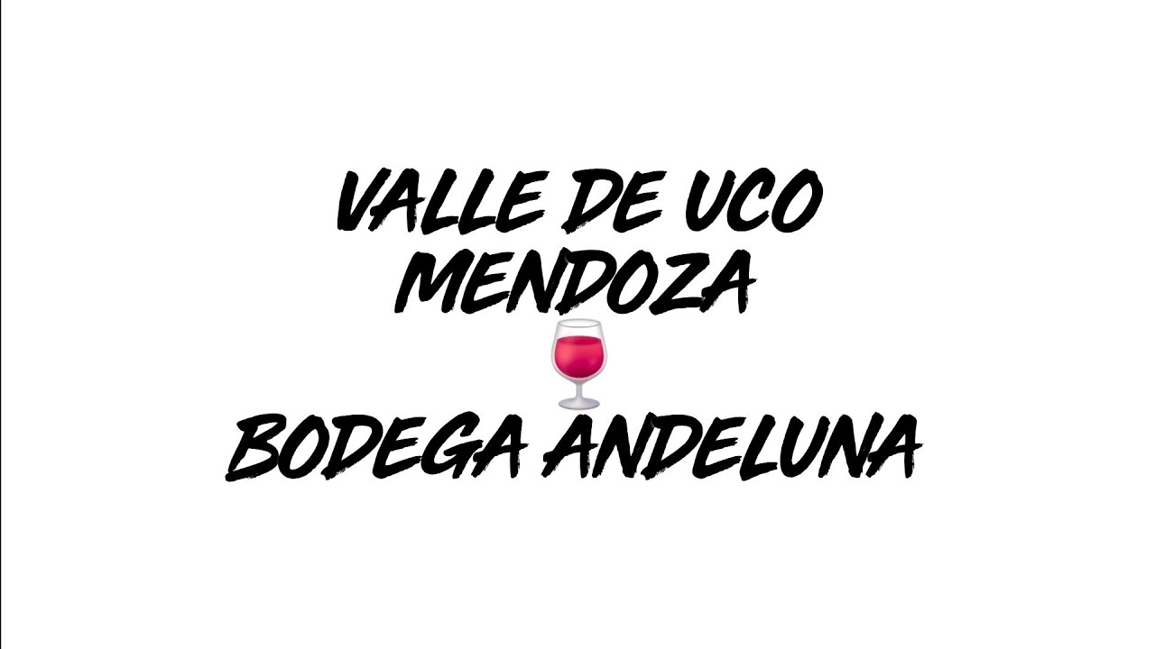 Valle De Uco Wine Tour 🍷 Mendoza 🇦🇷 02/2024