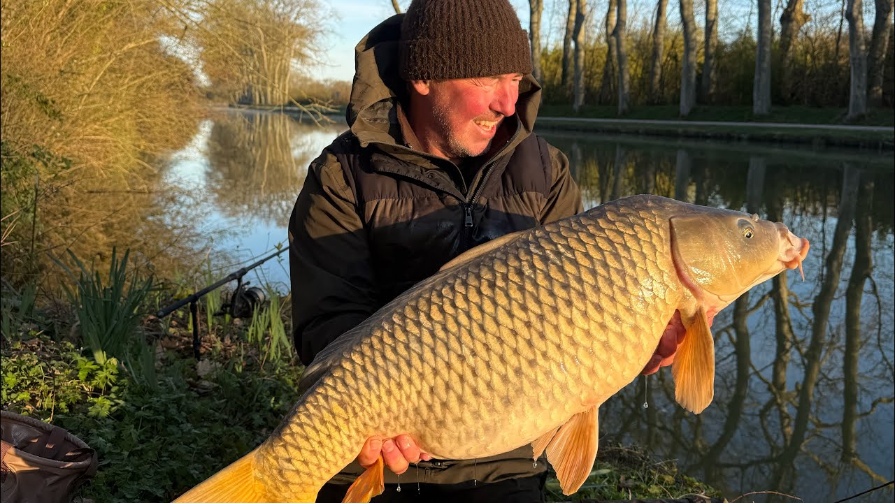 Великолепный Канальный Карп 🇫🇷🎣