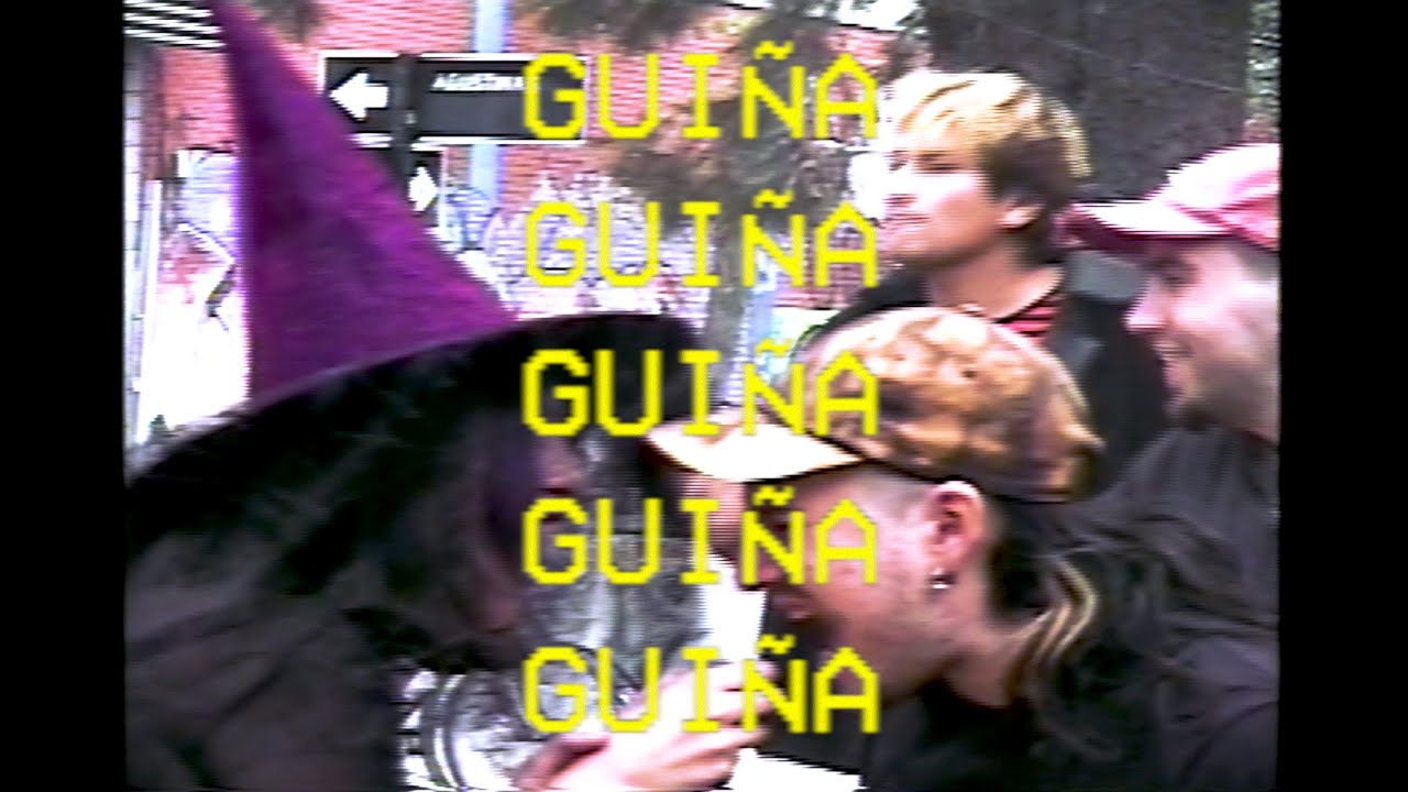 GUIÑA (˵Φ ω Φ˵)
