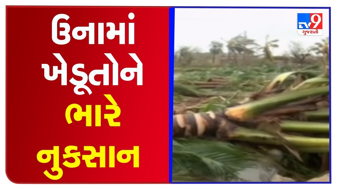 Farmers in Una face heavy crop loss due to Cyclone Tauktae, demand compensation | TV9News