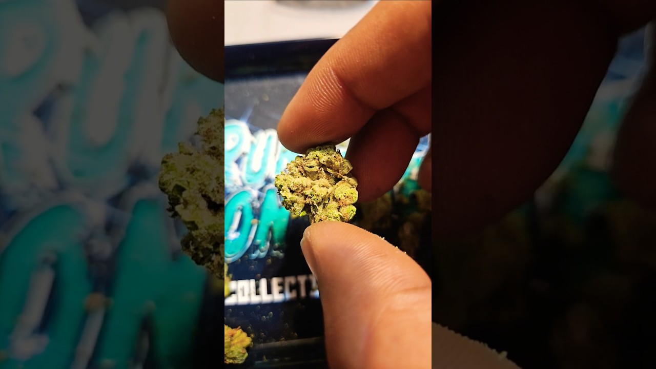 CHEM DE LA CHEM BY BEDFORD GROW - Illinois Strain Review