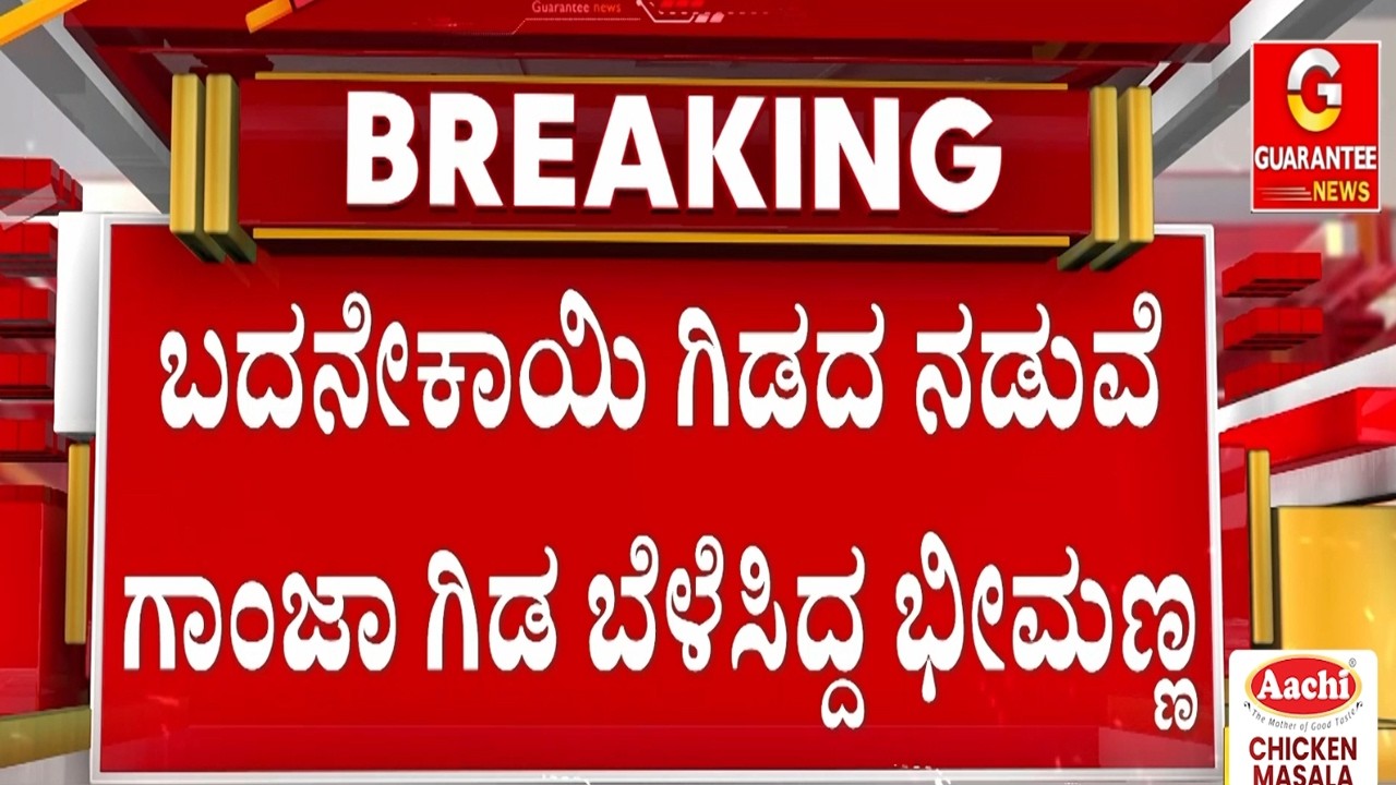 🔴LIVE | ಬದನೇಕಾಯಿ ನಡುವೆ ಗಾಂ*ಜಾ ಬೆಳದಿದ್ದವನ ವಿರುದ್ಧ FIR ದಾಖಲು | Guarantee News