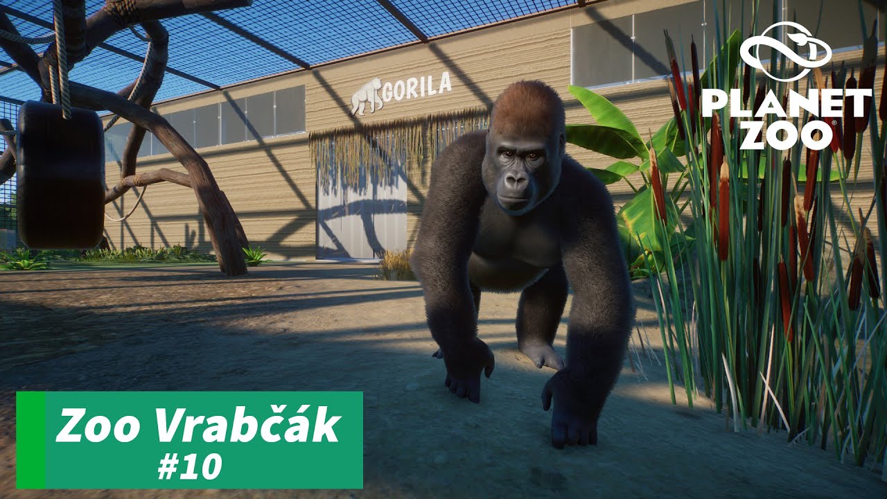 Pavilon Opic - Zoo Vrabčák - #010 - Planet ZOO CZ