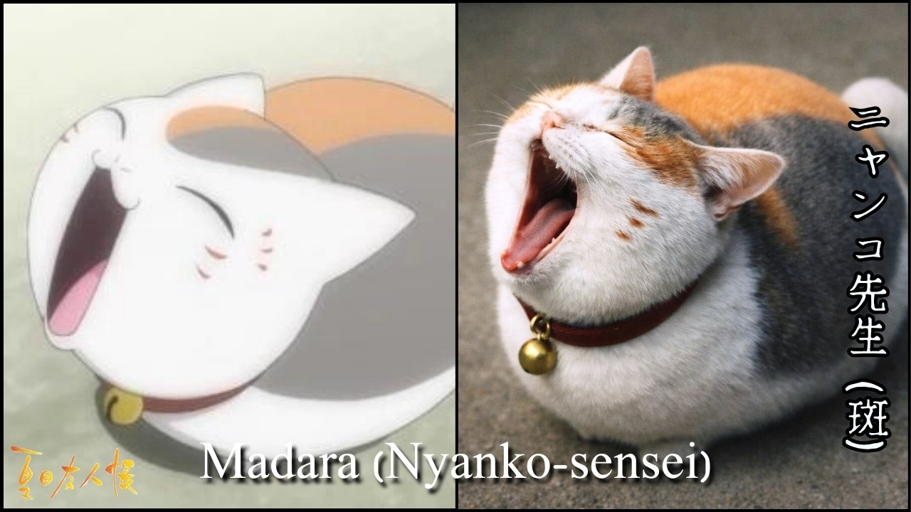 夏目友人帳 Natsume Yuujinchou Realistic Live Action Ver  Lineup