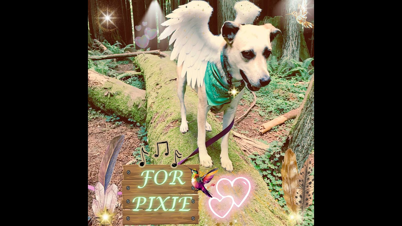 S1E27: My Forever Girl (for Pixie) | Bonus Track