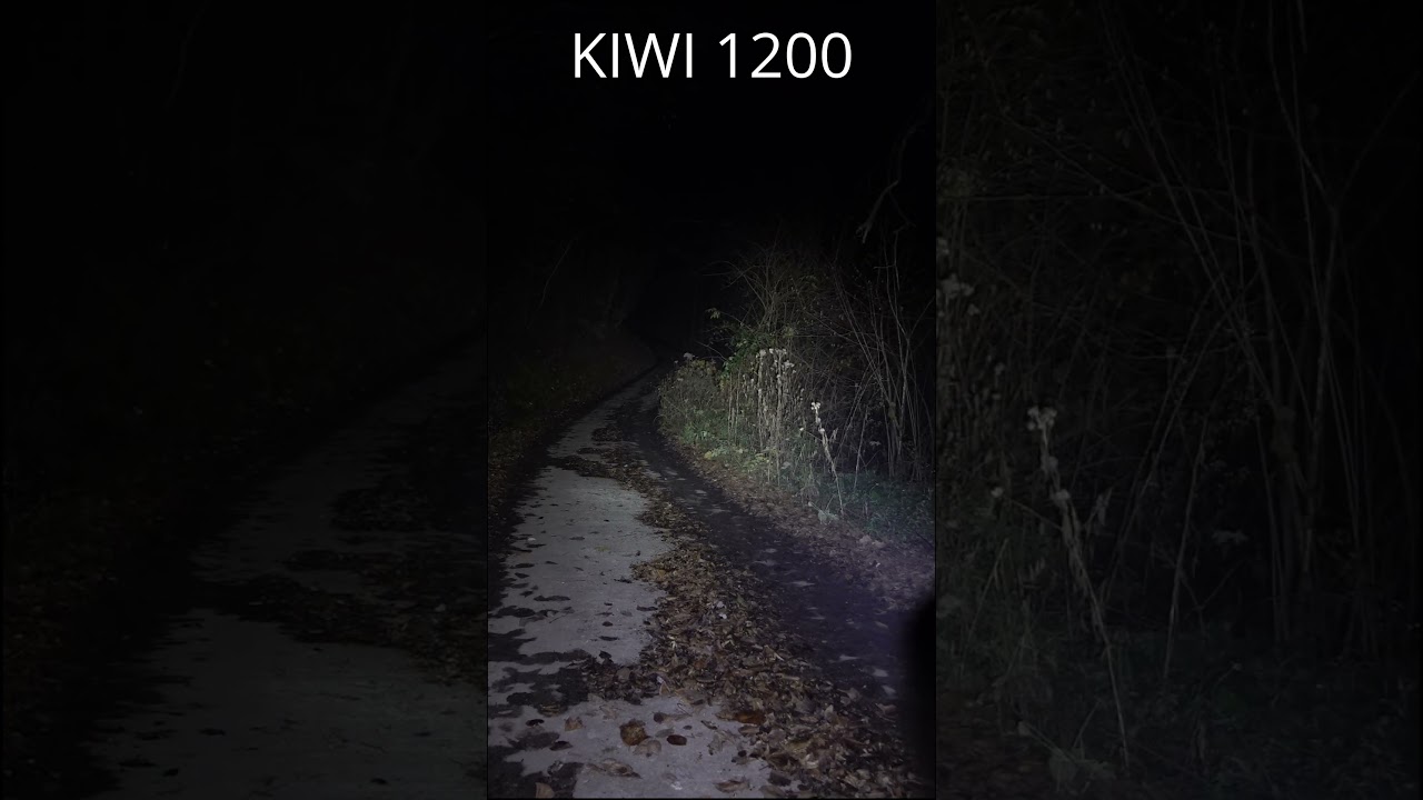 300 vs 1200 vs 1700 lm