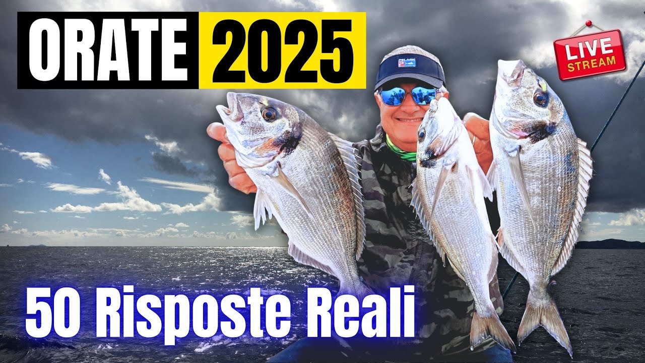 ORATE 2025: La Masterclass Definitiva - 50 Risposte Reali (con Prezioso & Schirru)