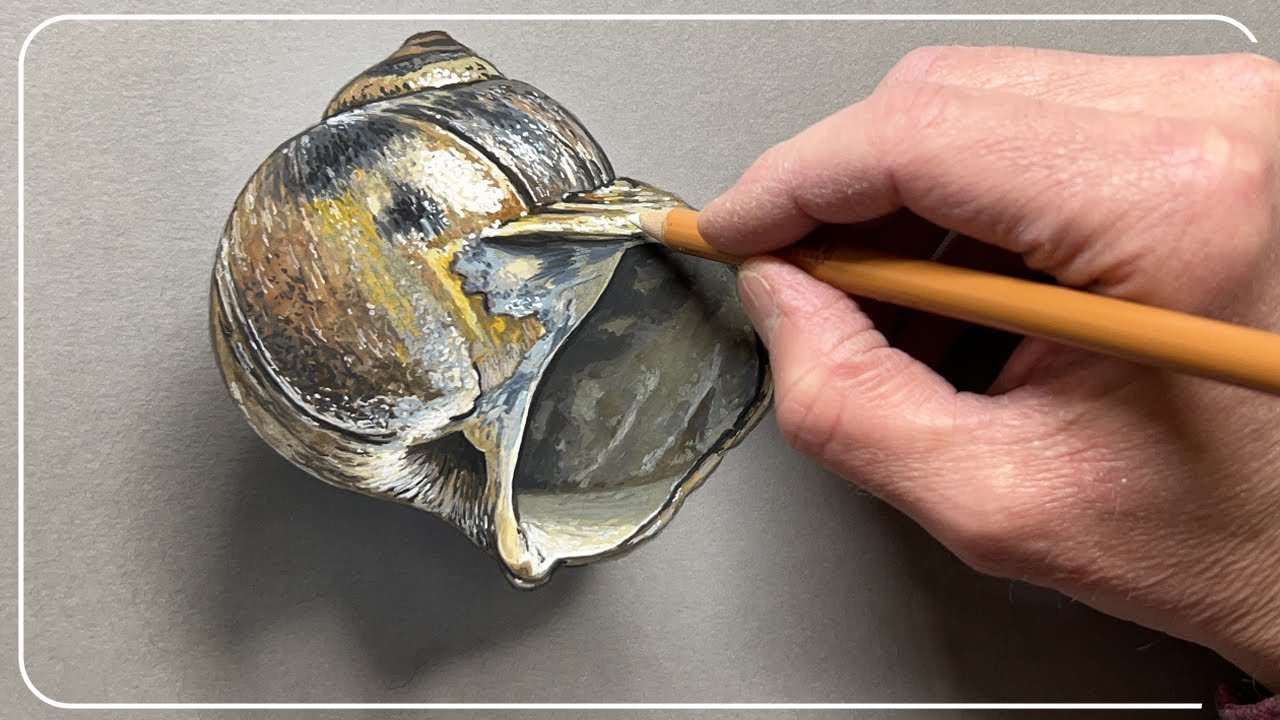 DESSINER UN COQUILLAGE EN TROMPE L'OEIL - (ART CLASSE - PEINDRE AVEC LO)