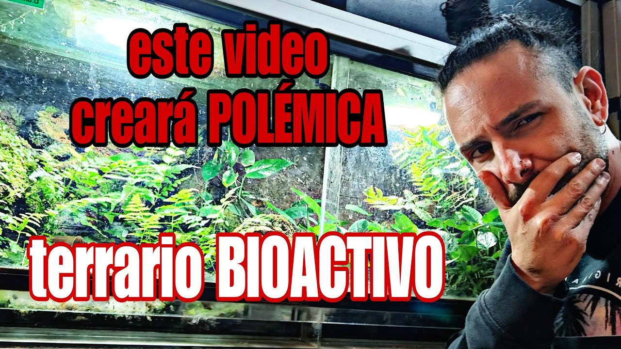 TERRARIO BIOACTIVO! -PROS y CONTRAS. -Microfauna para TERRARIO BIOACTIVO. -CONSEJOS