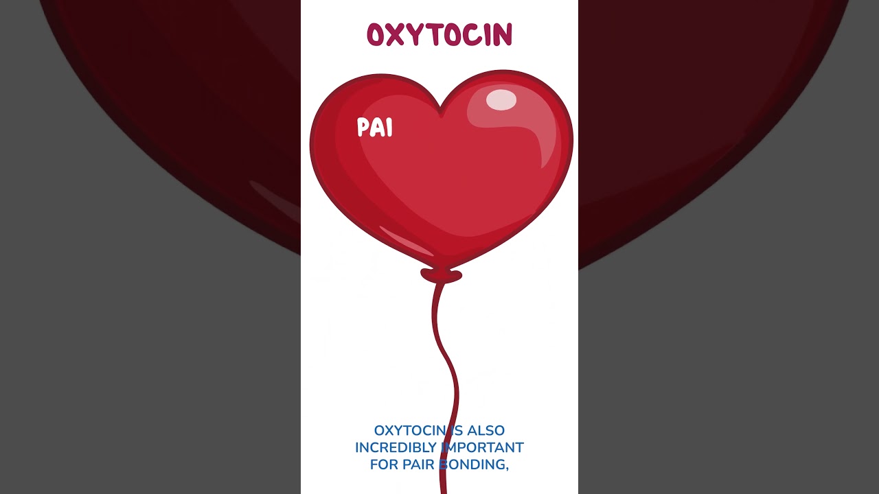 Knowledge Shot: Oxytocin