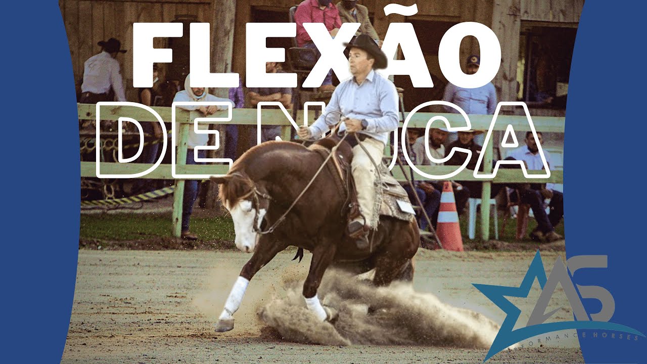 Saiba Tudo Sobre Flexão de Nuca