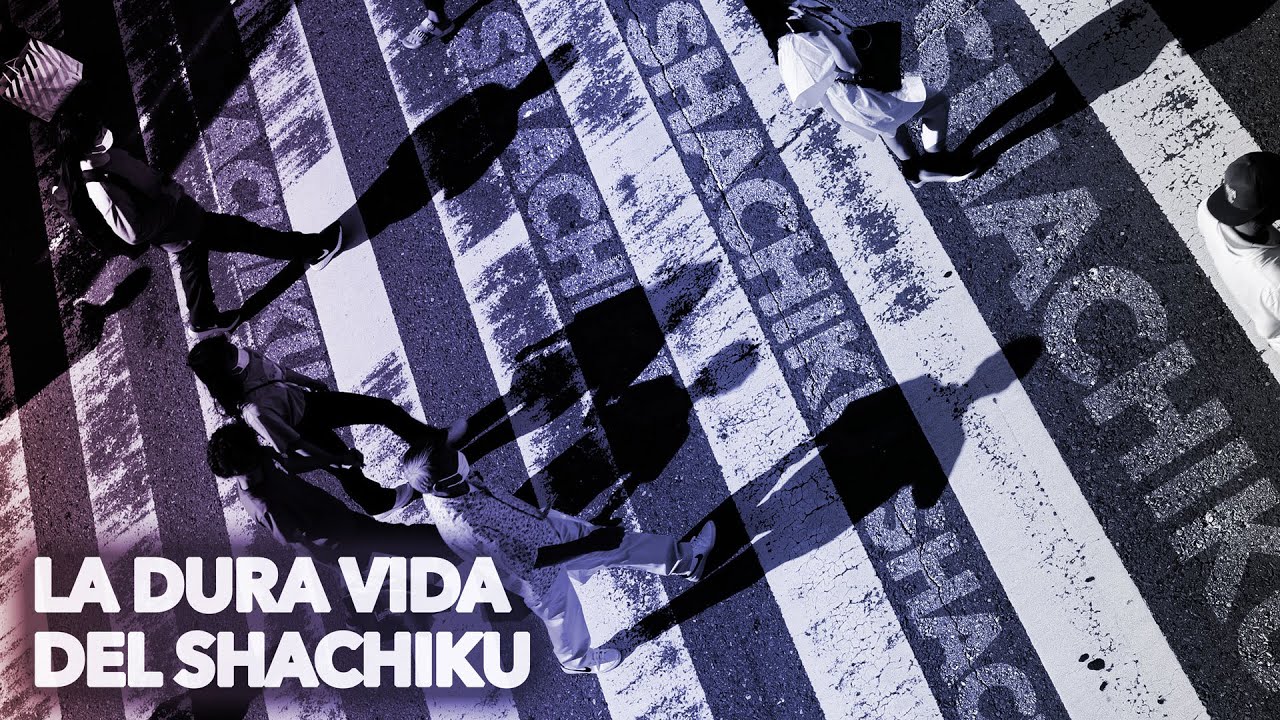 CÓMO ES LA DURA VIDA DEL SHACHIKU