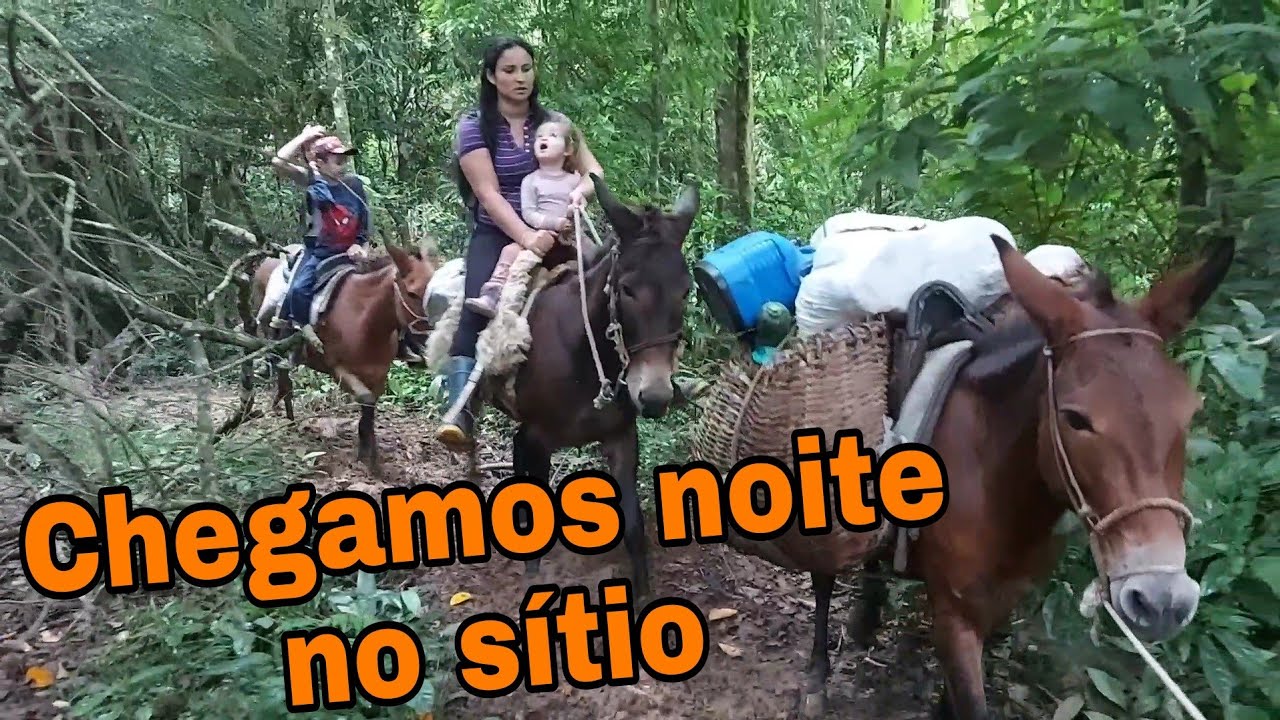 Nem tudo são flores 💐 Foi tenso demais essa situação / NA ÍNTEGRA NOSSO TRAJETO