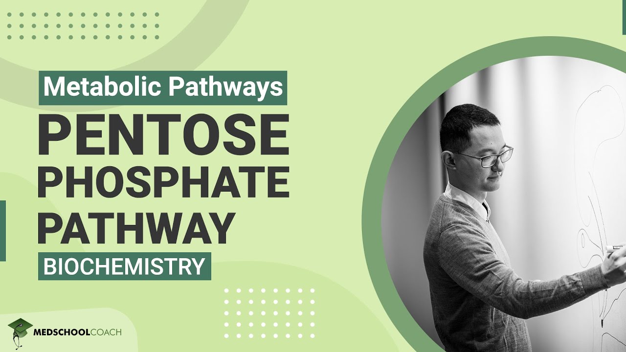 Pentose Phosphate Pathway