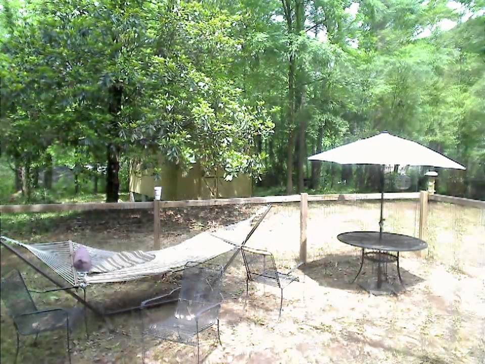 Backyard Clearout